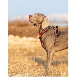 Truelove dog sales harness